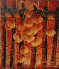 cibule