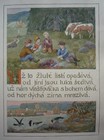 obrazek_peceni_ brambor