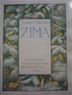 obrazek_zima