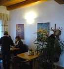obrazek_vystava